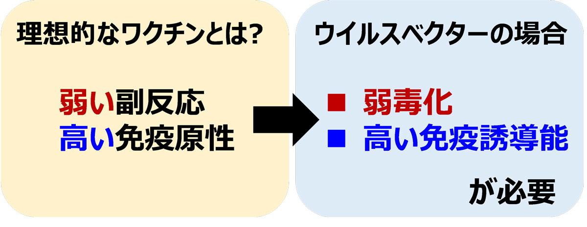 理想的なワクチンとは?