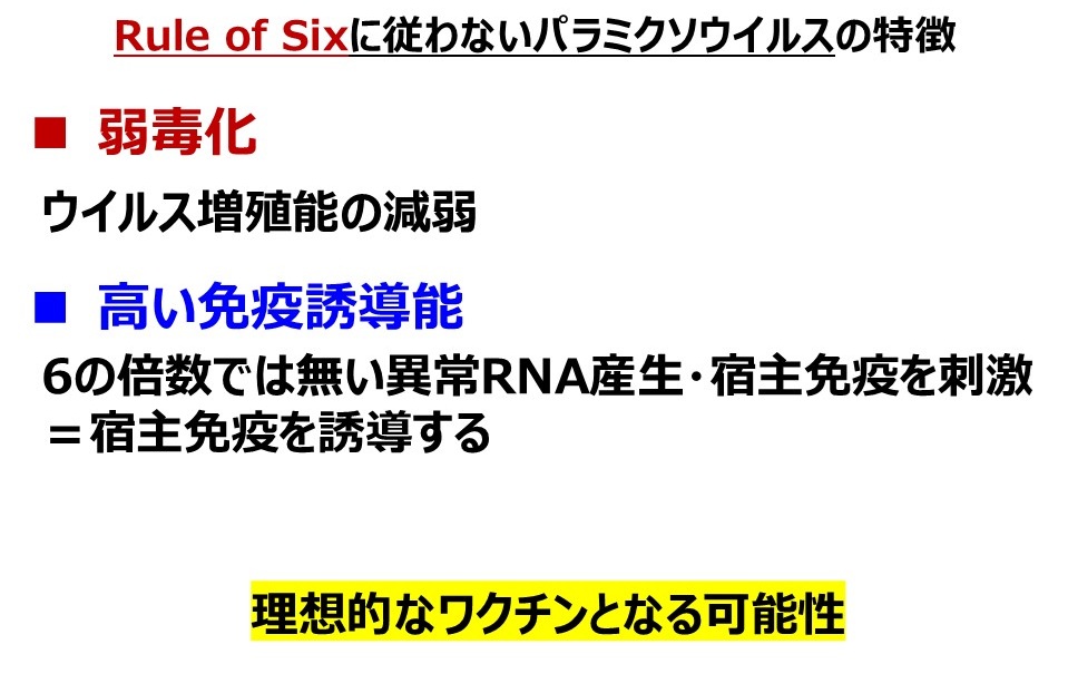 パラミクソウイルスベクターワクチンが理想的なワクチンとなる可能性