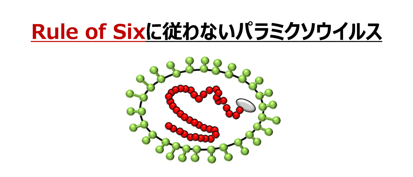 新興感染症に対する次世代型RNAウイルスベクターワクチンの開発究