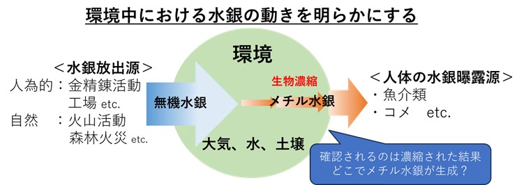 プロジェクトの目的