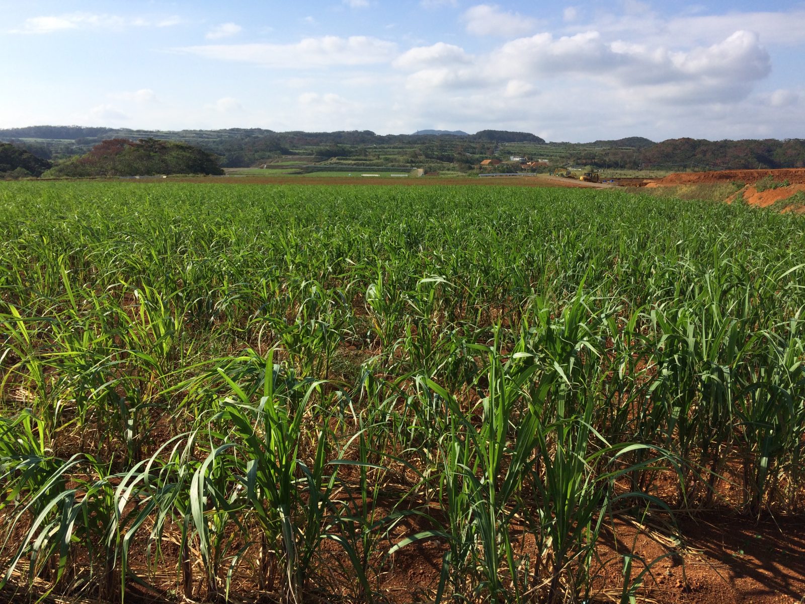 徳之島におけるサトウキビ農業のIoT化によるスマート農業プロジェクト