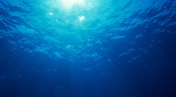 「海洋深層水2019鹿児島大会」開催のお知らせ