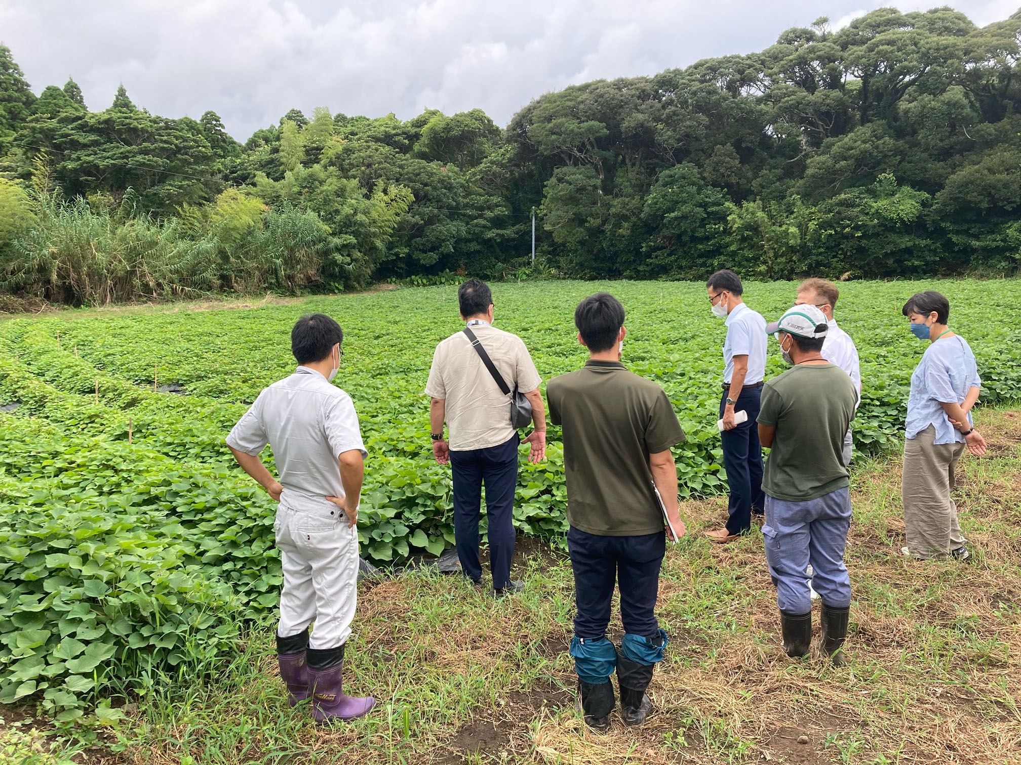 南種子町で南九州・南西諸島域ラウンドテーブル「有機農業を核とした地域活性化について」を開催しました。